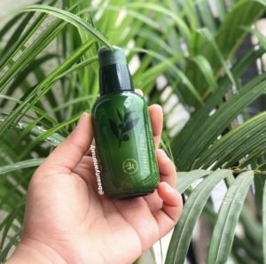 Innisfree Green Tea Seed Serum